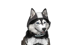 Prototype Void Exploration Equipment