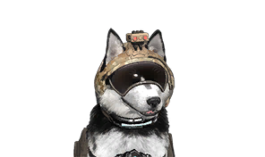 Armored Dog Recon Helmet