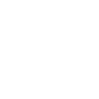 Focus on Singular icon